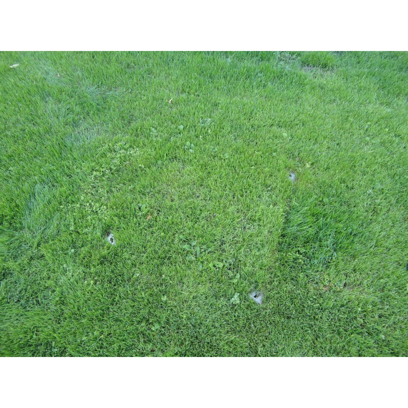 C26 GrassTop Recessed Manhole Cover, 900x600x100mm